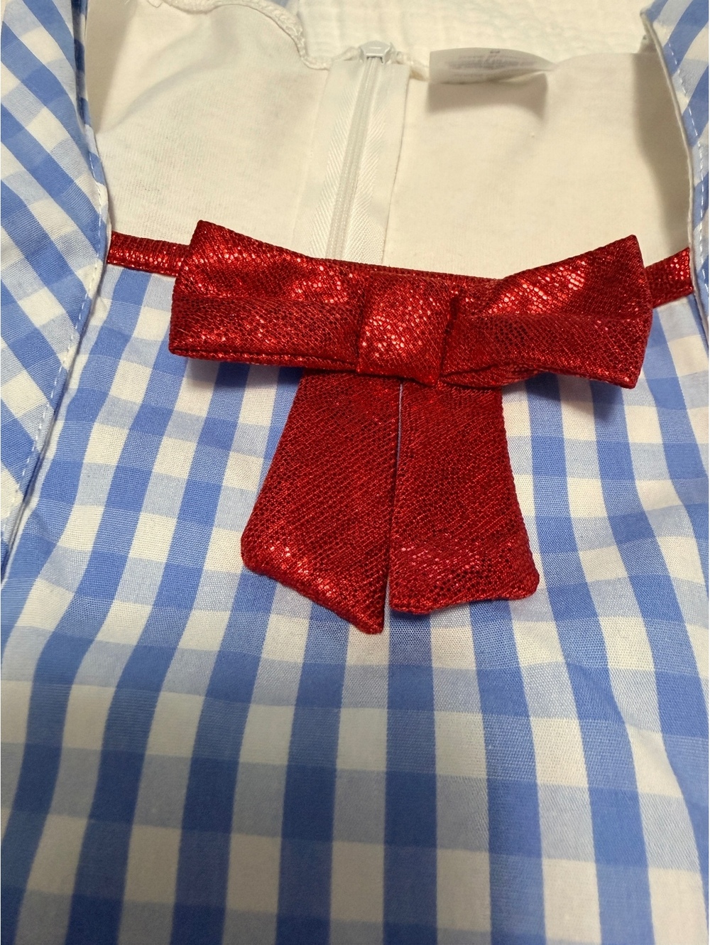 The Wizard of Oz Blue Gingham Dress with Red Bow and Lace Trim, Childs M - Picture 5 of 14
